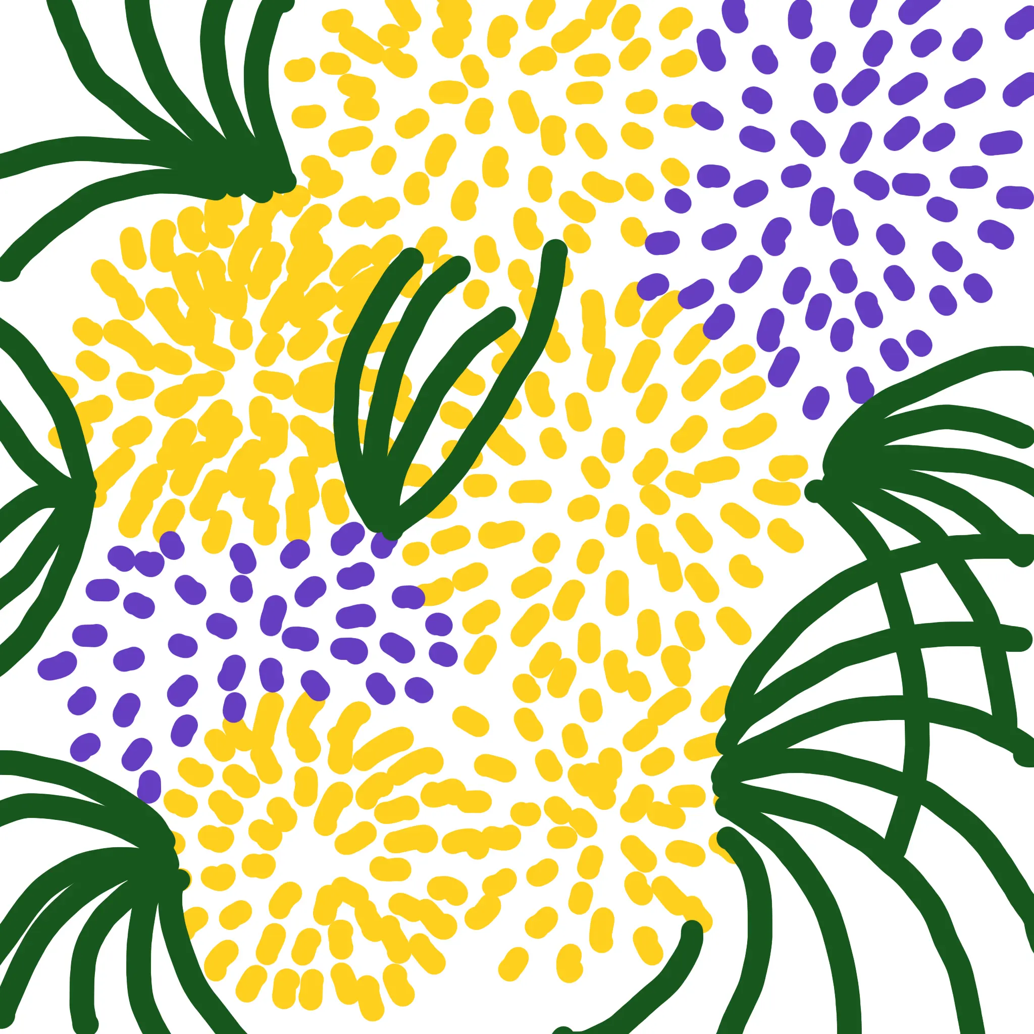 Pattern 5