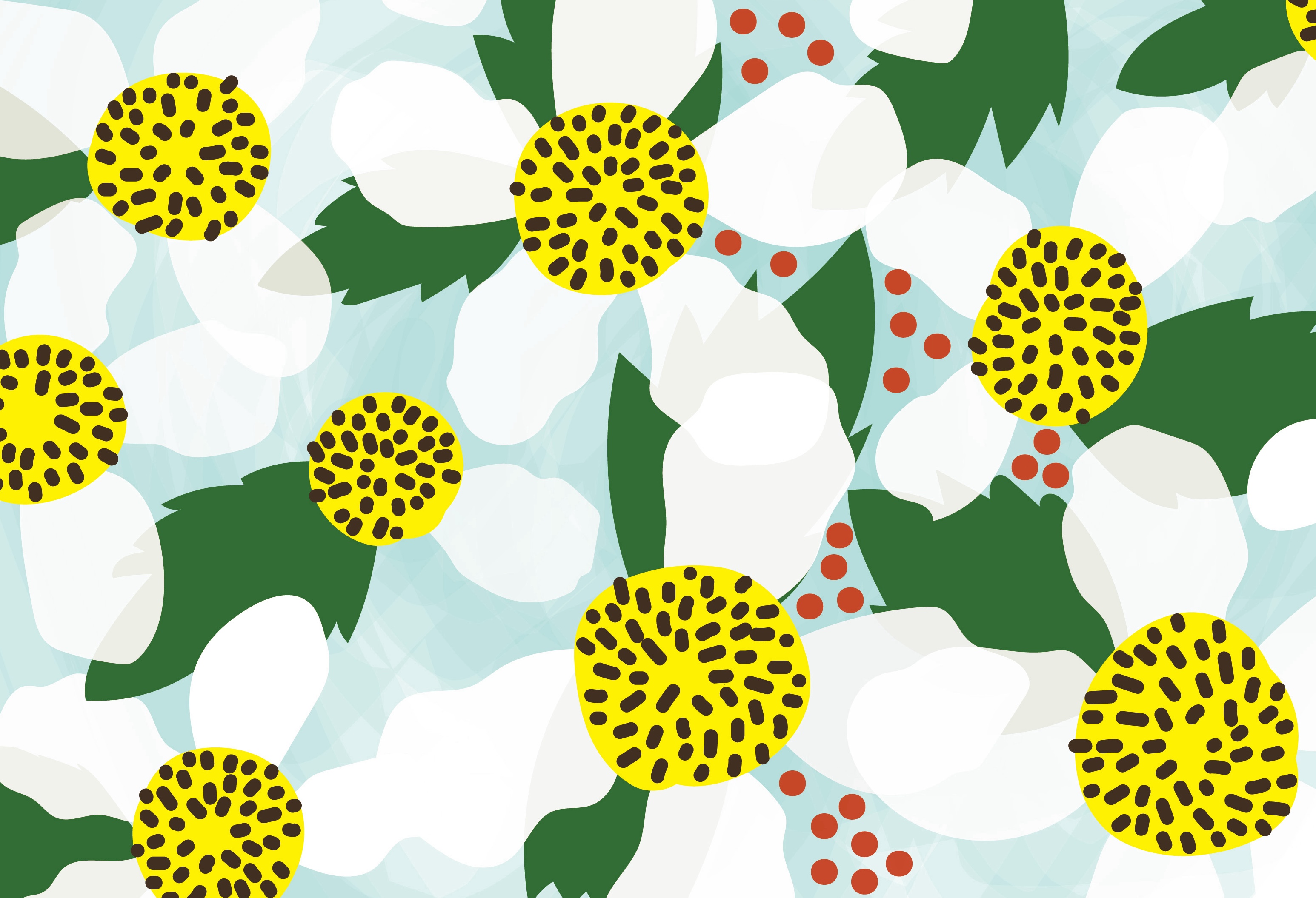 SunTouch Studio photo 2